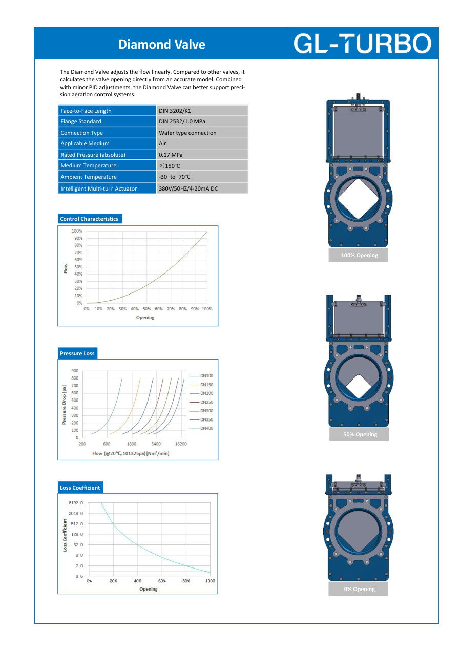 Diamond Valve brochure first page, version 2601