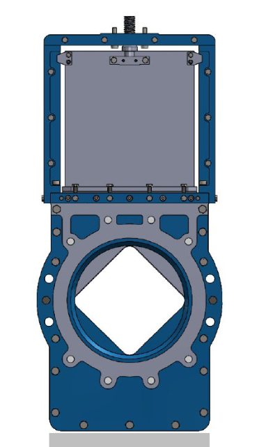 Diamond Valve