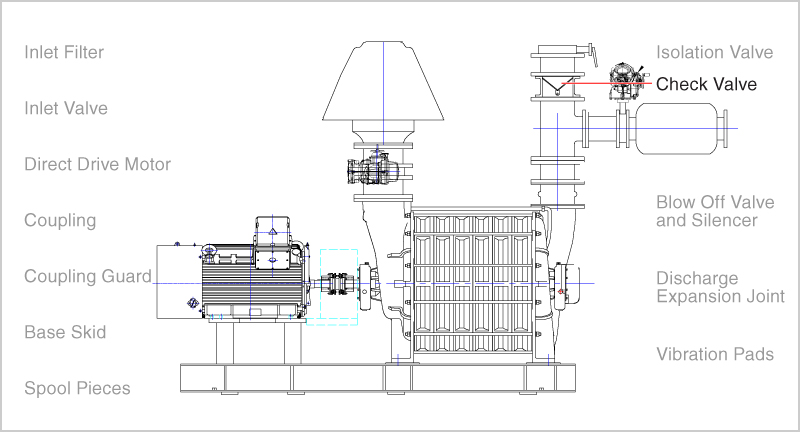 Check valve