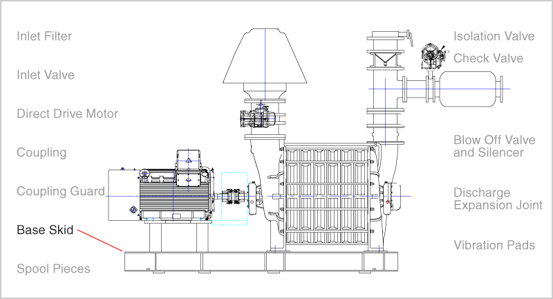 Blower skid