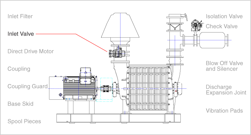 Blower valve